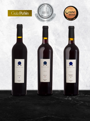 Colección Vinos Premiados