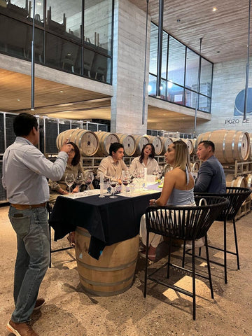 TALLER “HAZ TU PROPIO VINO”