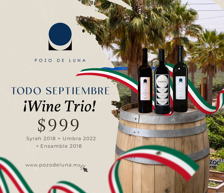 PROMOCIÓN SEPTIEMBRE