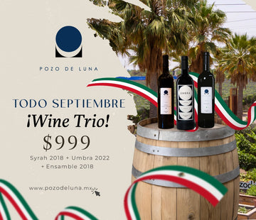 PROMOCIÓN SEPTIEMBRE