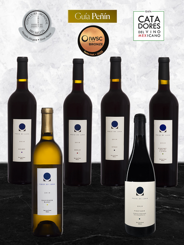 Colección Premium de Vinos Premiados 2023